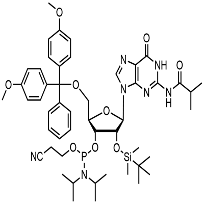 5'-O-(4,4-Dimethoxytrityl)-2'-O-[(tert-butyl) dimethylsilyl]-N-isobutyrylguanosine-3'-(2-cyanoethyl-N, N-diisopropyl) phosphoramidite