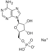 Adenosine 5'-monophosphate Sodium Salt .