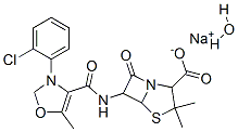 Sodium Cloxacillin