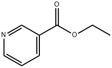 Ethyl consectetuer