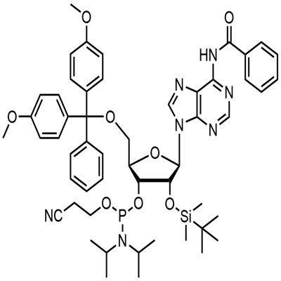 N-Benzoyl-5'-O-(4,4-Dimethoxytrityl)-2'-O-[(tert-butyl)dimethylsily]adnosine-3'-(2-cyanoethyl-N, N-diisopropyl)phosphoramidite