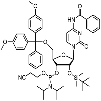 N-obclusum 5'-O-DMT-2'-O-TBDMS CED cytidine phosphoramidite