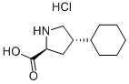 trans-4-Cyclohexyl-L-proline hydrochloridum